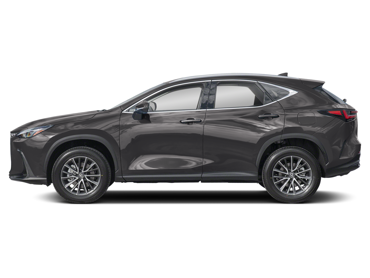 2025 Lexus NX 250 Premium photo 2