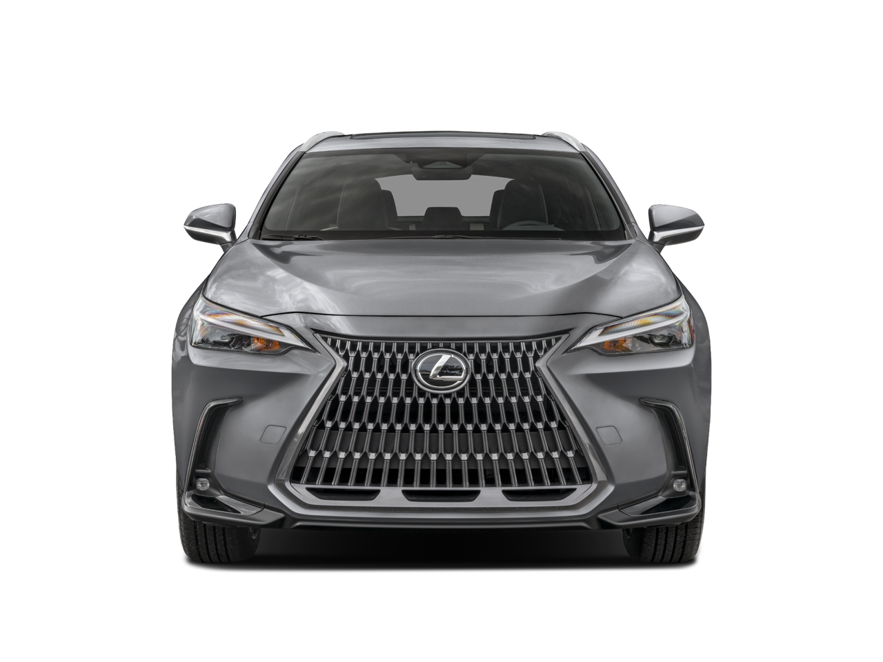 2023 Lexus NX 350h Premium photo 3