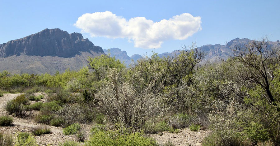 6 Great El Paso Autumn Events To Mark Down Fox Acura Of El Paso Blog