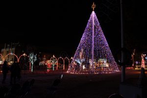 Christmas Tree in El Paso, TX | Fox Acura of El Paso