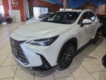 2024 Lexus NX 250 Base