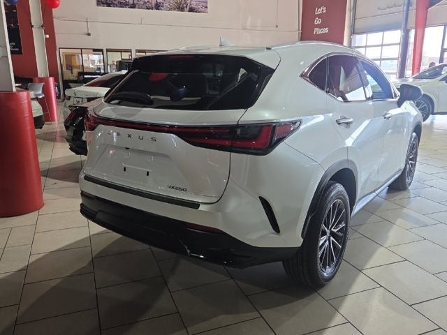 2024 Lexus NX 250 Base