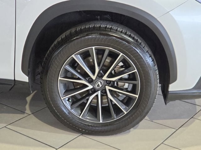 2024 Lexus NX 250 Base