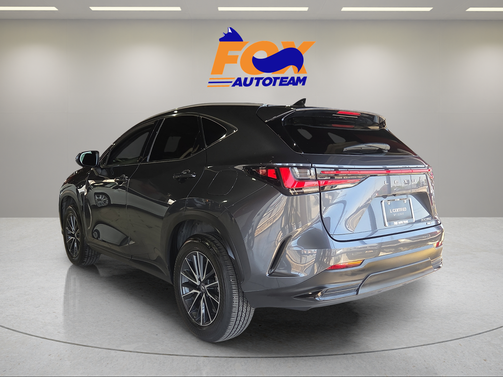2025 Lexus NX 350 Luxury