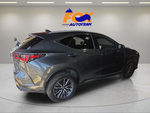 2025 Lexus NX 350 Luxury
