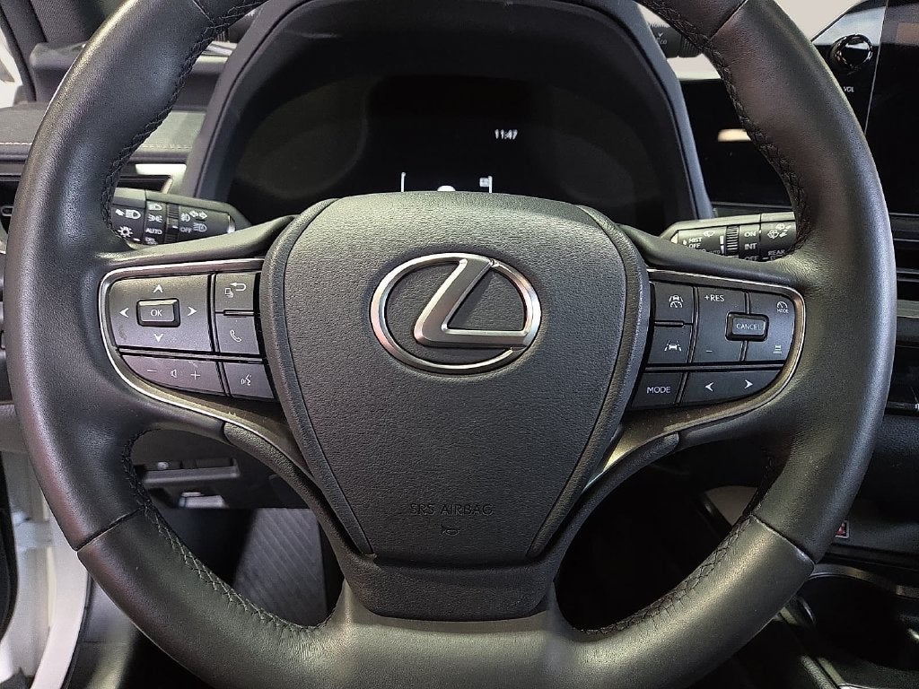 2025 Lexus UX 300h F SPORT Design