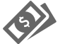 money icon